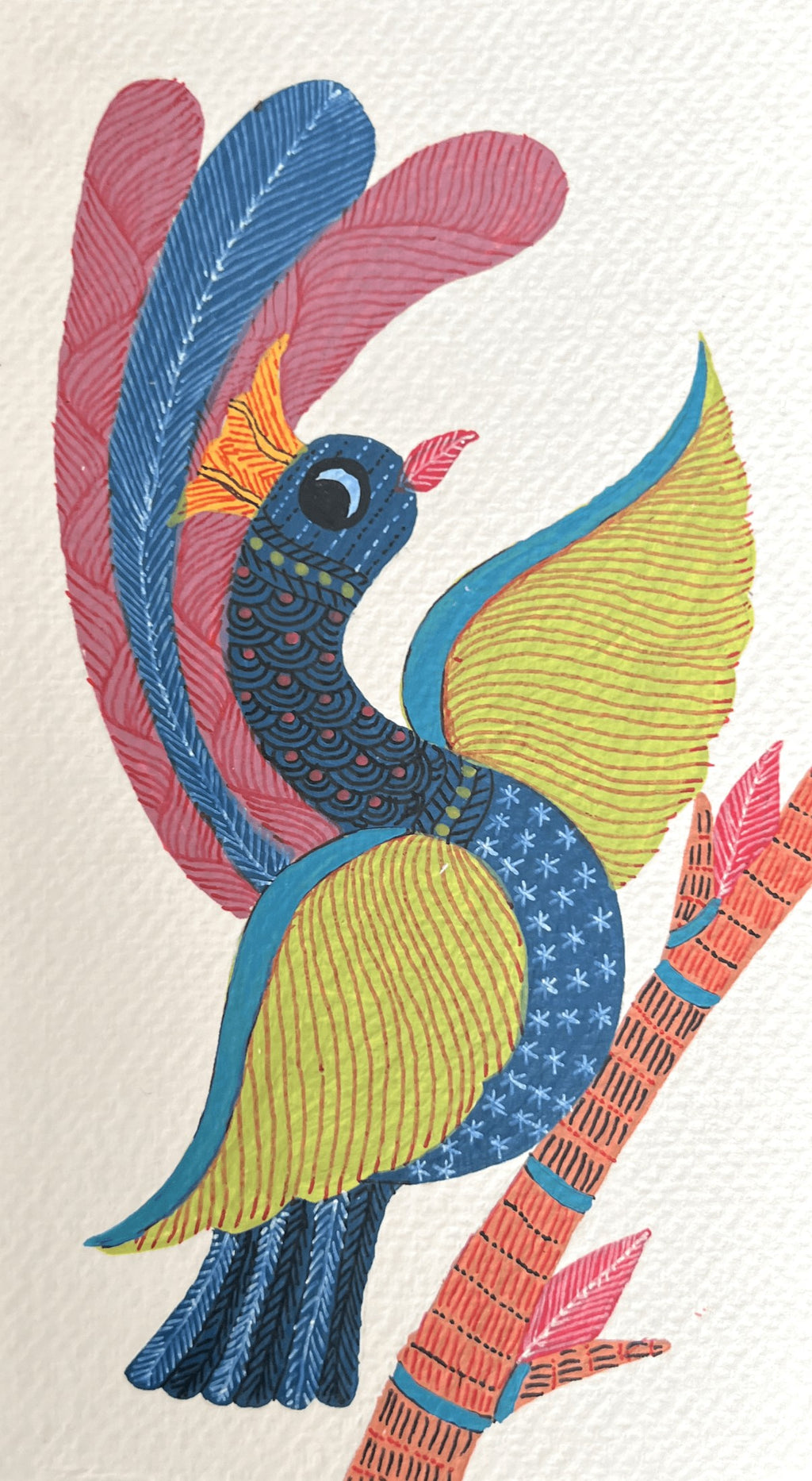 Peacock's Grace In Gond by Kailash Pradhan Thumbnail