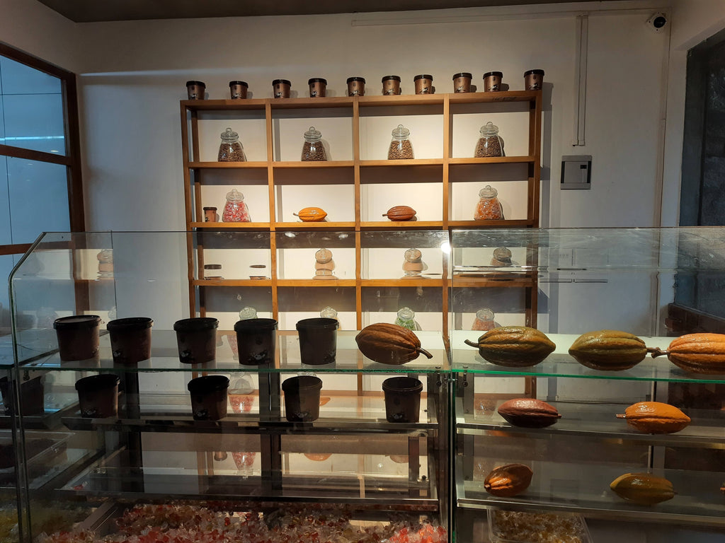 Cocoa in Idukki: The Macofa Chocolate Factory