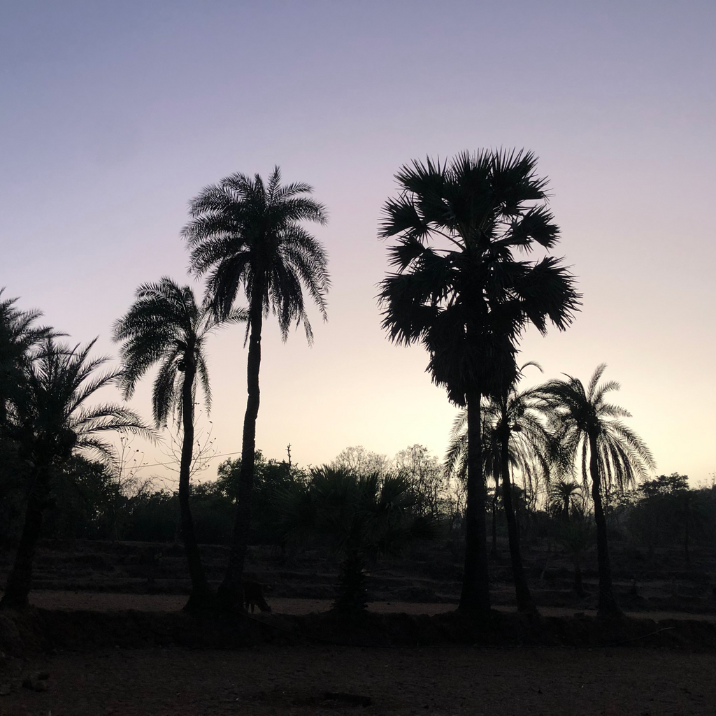 Journey to Dahanu