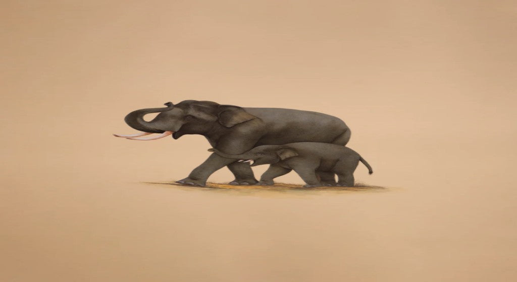 Evolution of Mughal Miniature Paintings