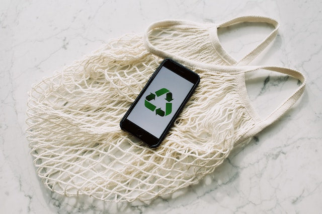 Green Initiatives Unleashed: 4 Vibrant Environment Day Activities to Engage All