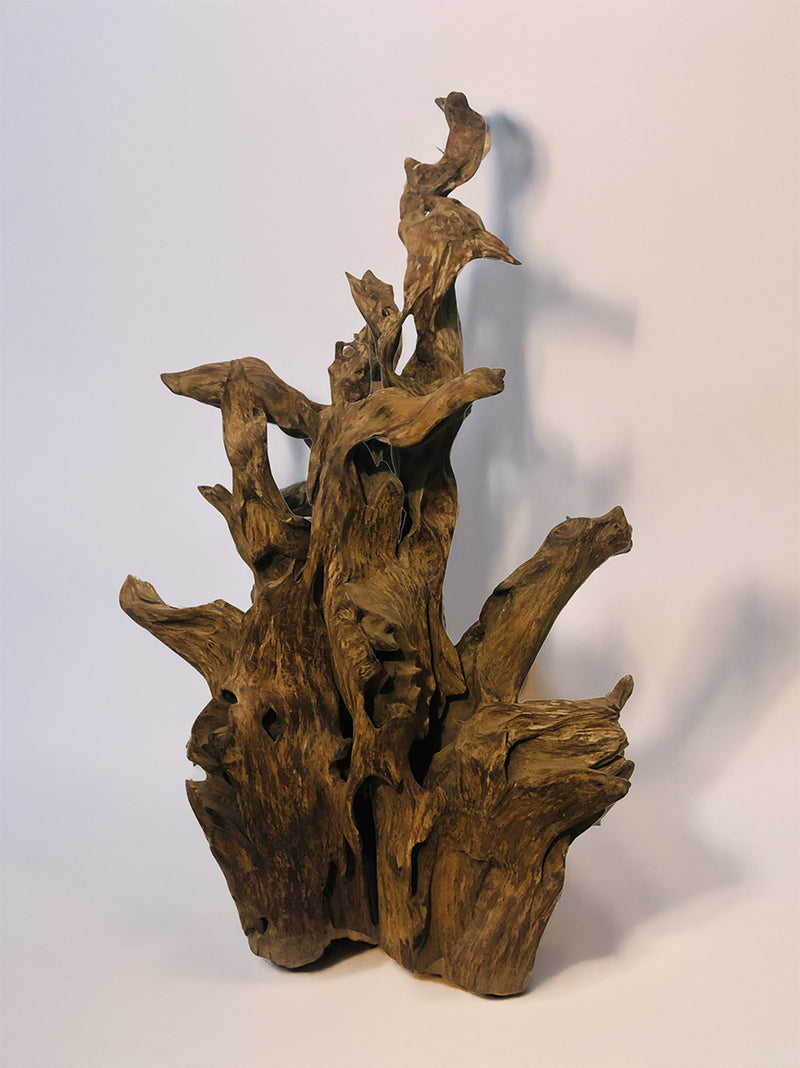 Buy Enchanting Sal in Driftwood Craft by Suresh Pant