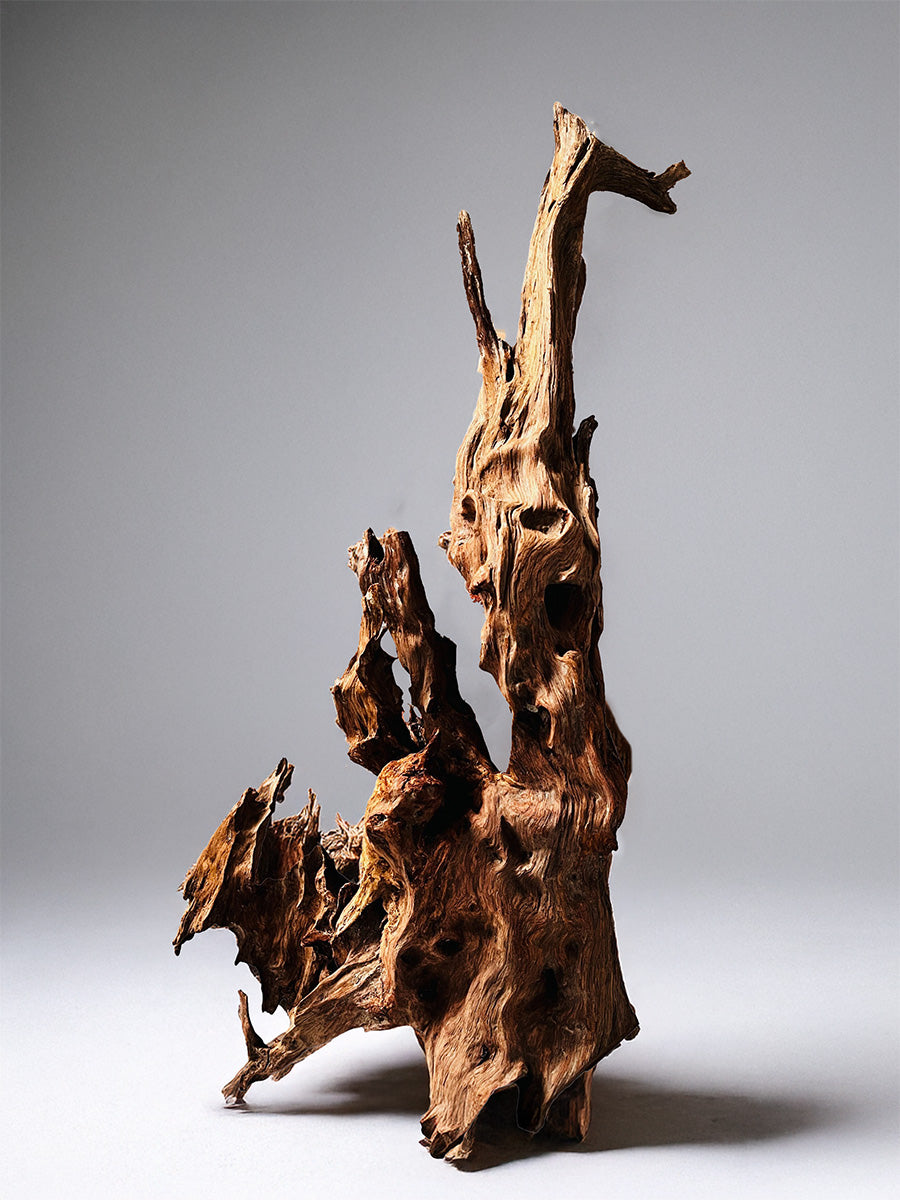 Buy Lost in Time in Driftwood Craft by Suresh Pant