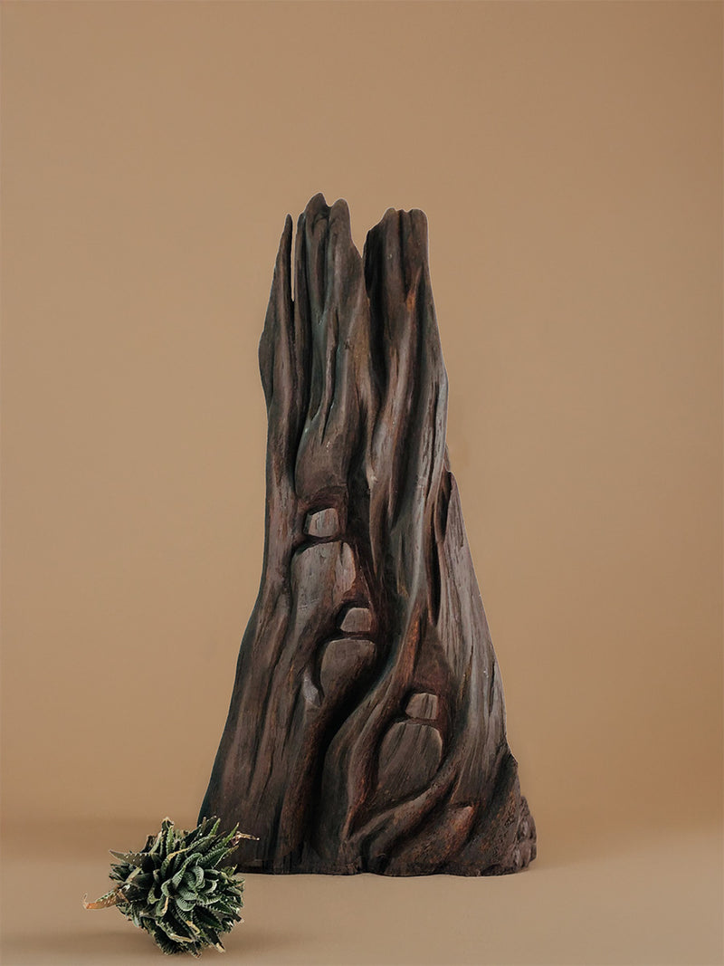Buy The Wanderer's Wood in Driftwood Craft by Suresh Pant