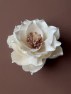 Buy White Bloom: Magnolia in Sholapith by Sunil Haldar