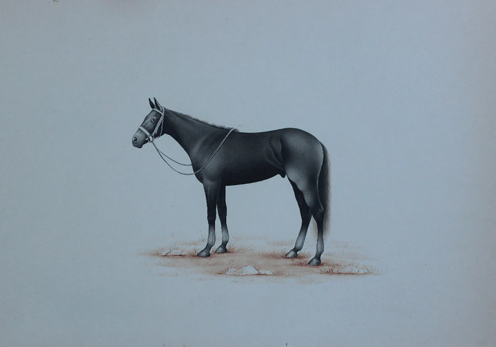 A Gentle Horse in Miniature Painting by Mohan Prajapati Thumbnail