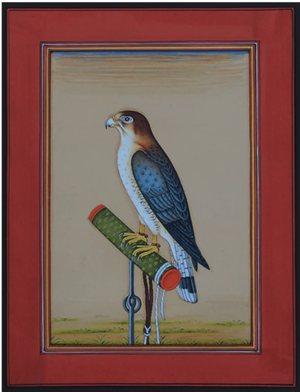 Buy A Vibrant Falcon in Miniature Painting by Mohan Prajapati