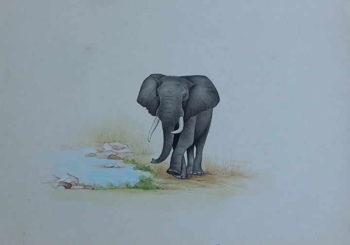 An Elephant in Wild Miniature Painting by Mohan Prajapati Thumbnail