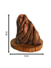 Order Hide and Seek in Driftwood Craft by Suresh Pant