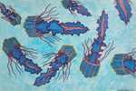Buy Jelly fish in Gond by Sandeep dhurve