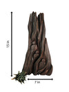 Purchase The Wanderer's Wood in Driftwood Craft by Suresh Pant