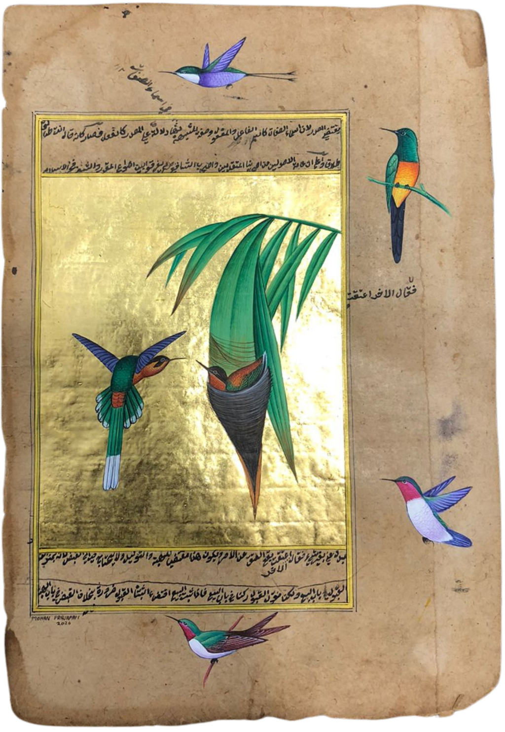 A Tailorbird Nesting Sanctuary in Mughal Miniature by Mohan Prajapati Thumbnail