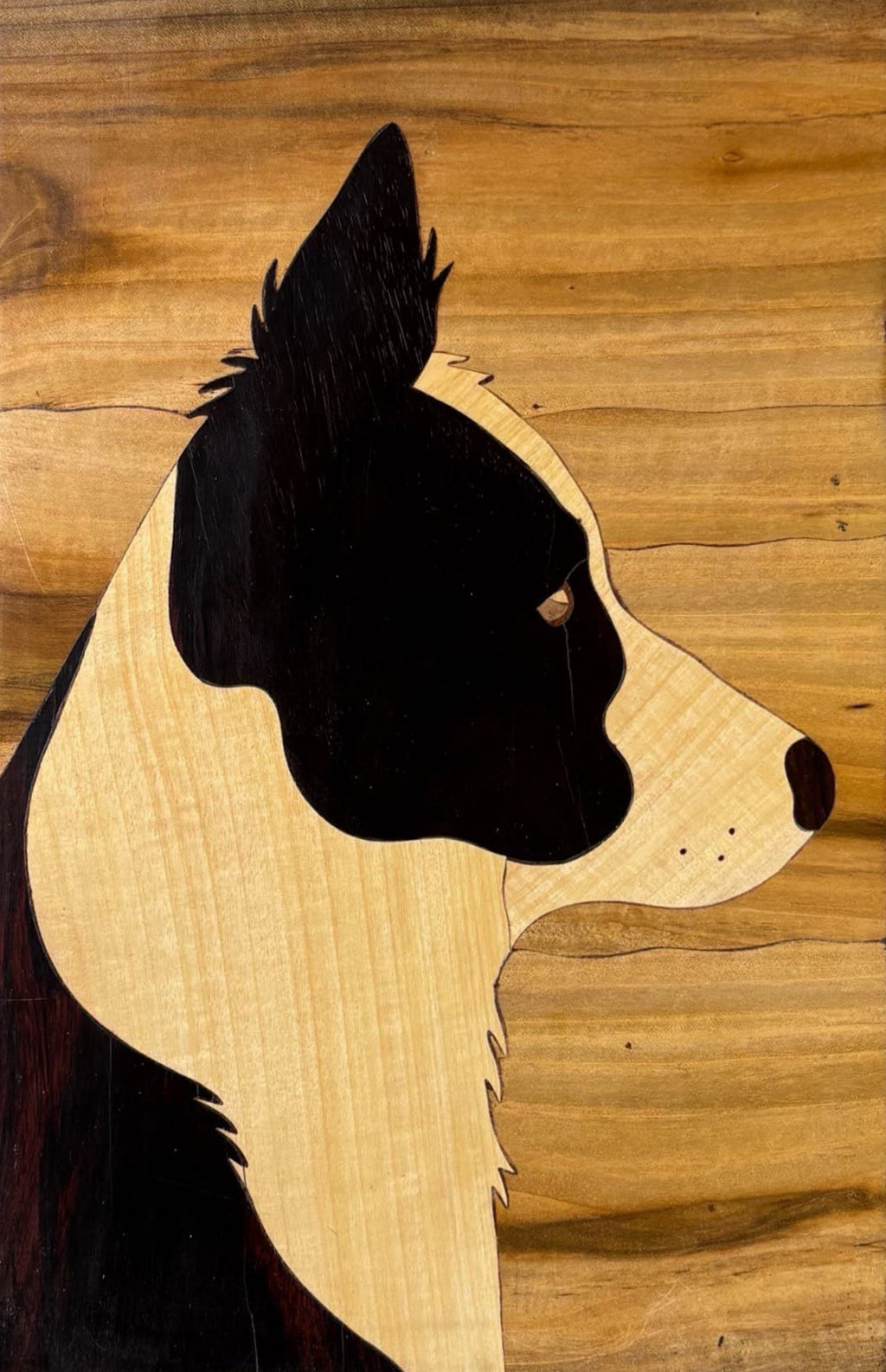 Border Collie in Repose in wood inlay by Mohan Kumar Thumbnail