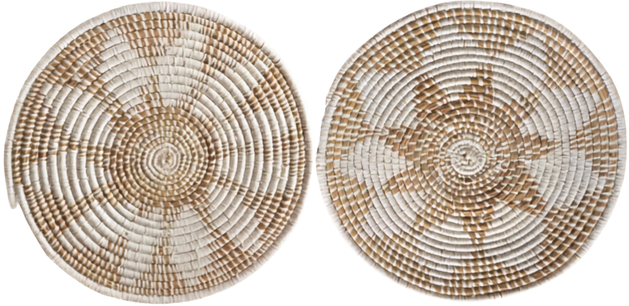 Circular Wall Hangings in Moonj Craft with Taat and Kasa Grass by Urmila Devi Thumbnail