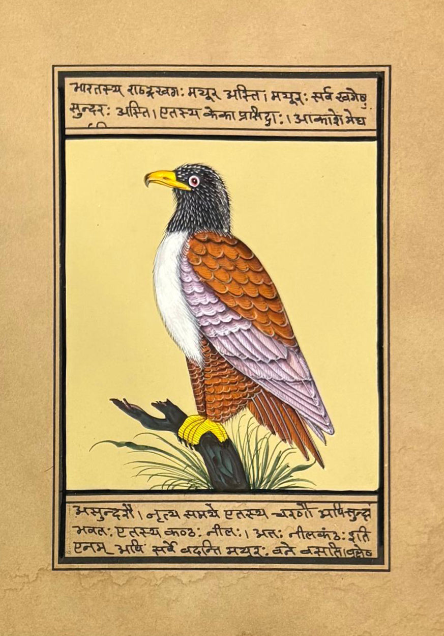 Eagle on a branch in Mughal Miniature by Mohan Prajapati Thumbnail
