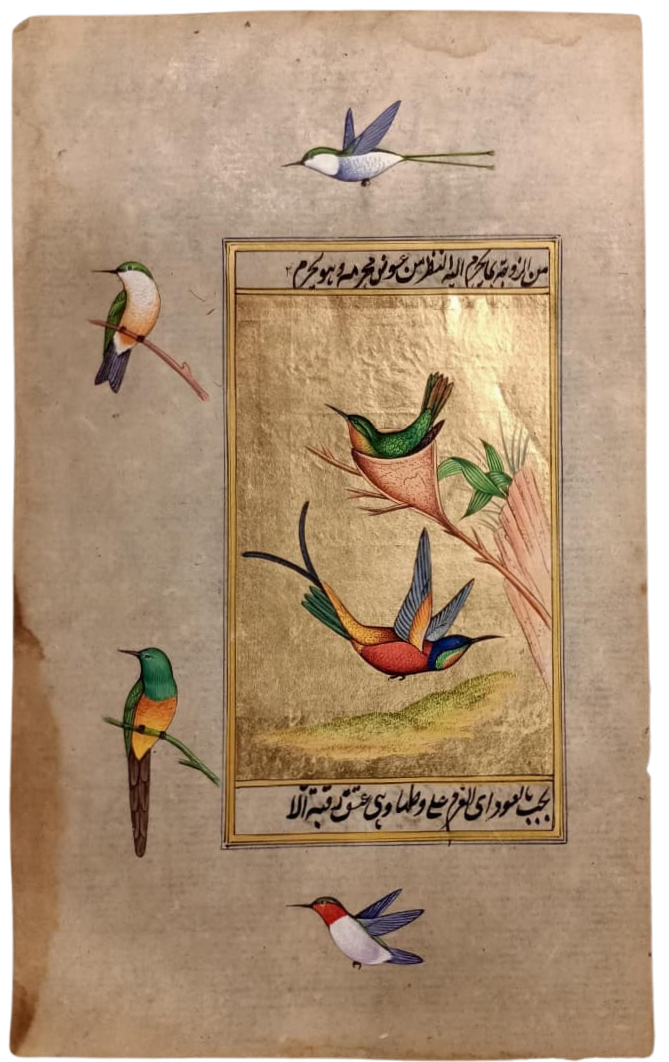 Hummingbirds and Sunbirds in Mughal Miniature by Mohan Prajapati Thumbnail