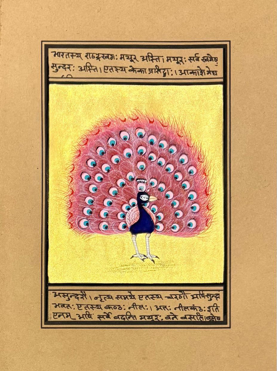 Peacock with fanned tail in Mughal Miniature by Mohan Prajapati Thumbnail