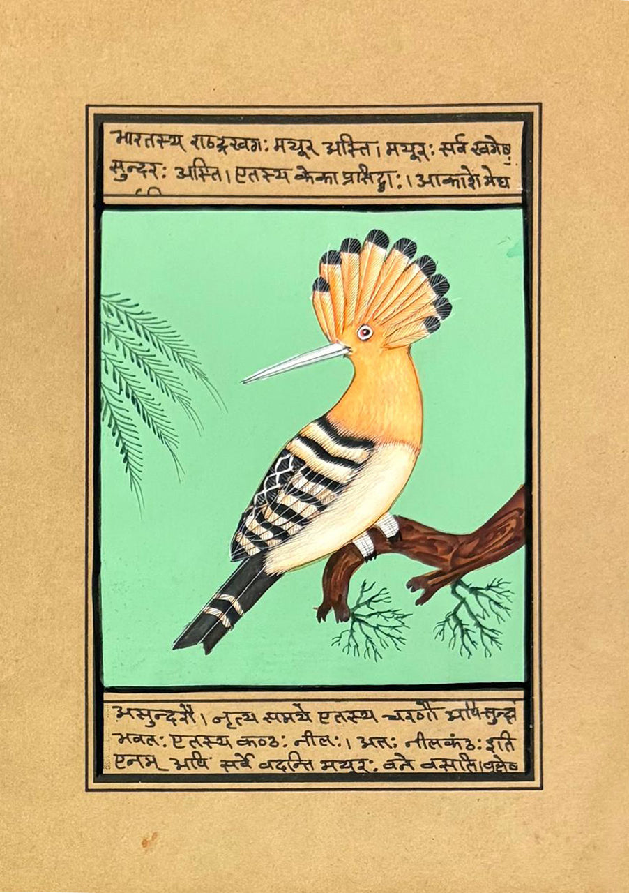 Study of a Hoopoe in Mughal Miniature by Mohan Prajapati Thumbnail