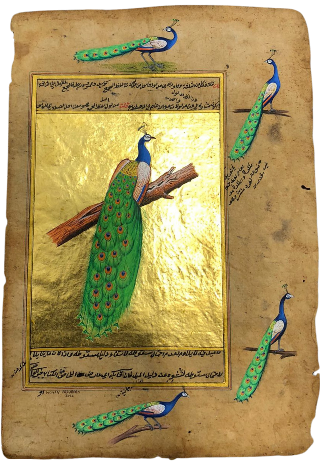 The Imperial Peacock in Mughal Miniature by Mohan Prajapati Thumbnail
