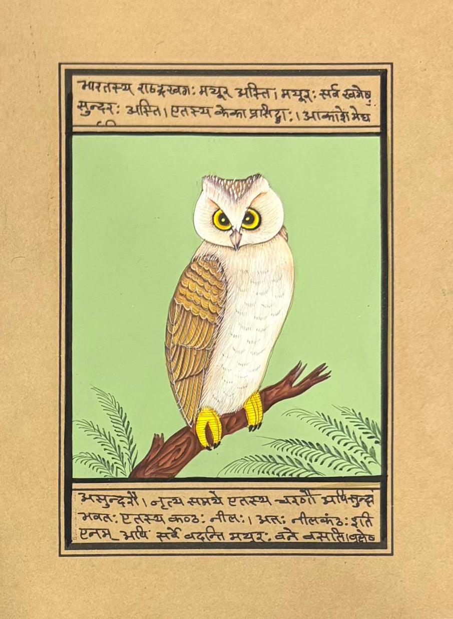 The wise owl in Mughal Miniature by Mohan Prajapati Thumbnail