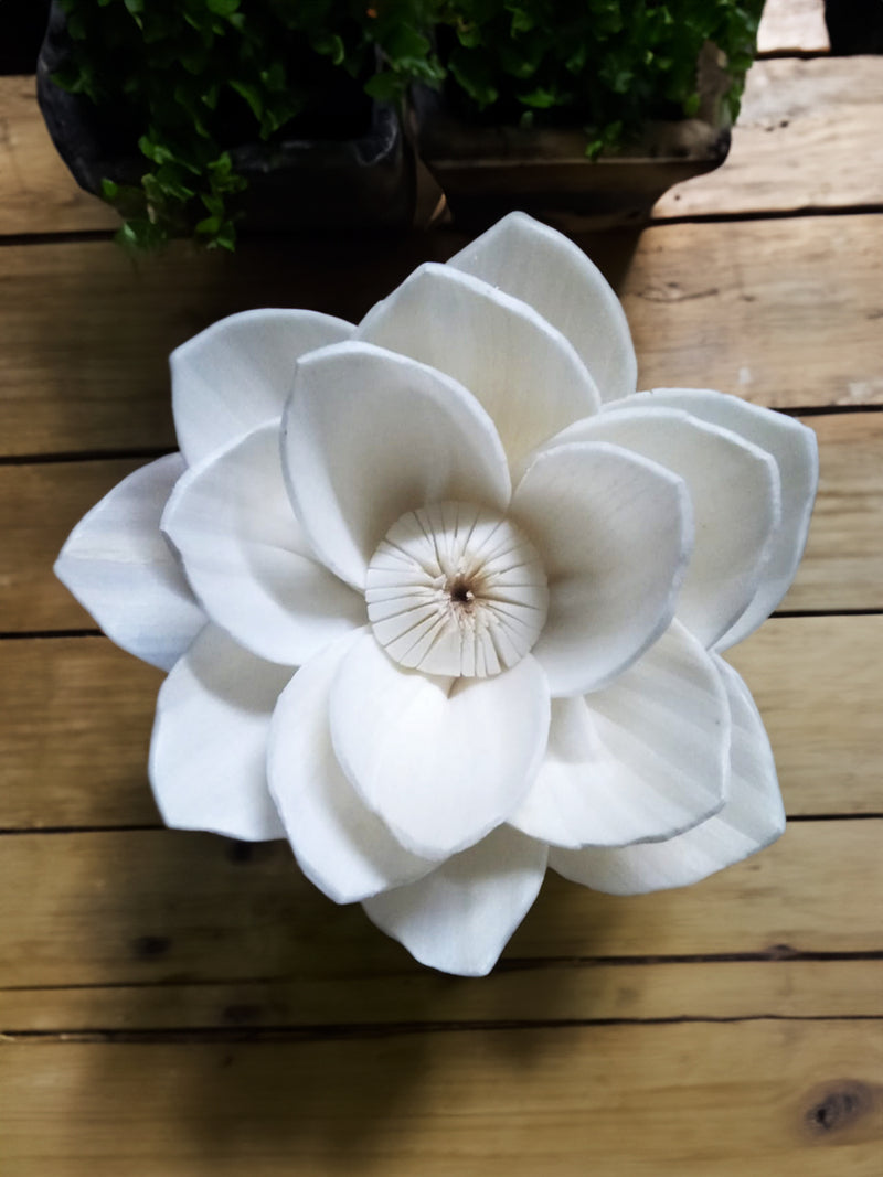 Tranquil Whispers: A Shola Pith Carving of a Water Lily Sholapith Flower by Arup Malakar