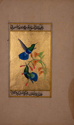 Buy A Mughal Miniature of Hummingbirds by Mohan Prajapati