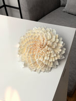 Buy Arcane Beauty: Shola Pith Carving of a Chrysanthemum Sholapith by Arup Malakar