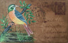To buy Wings of Majesty: Mughal Miniature Postcard Unveiling Nature's Brilliance 