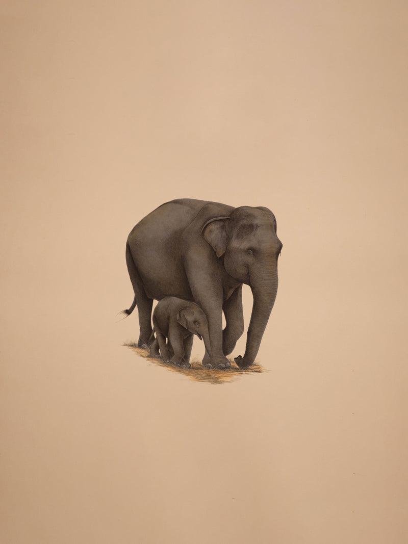 Buy A Majestic Bond The Graceful Elephants, A Mughal Miniature by Mohan Prajapati