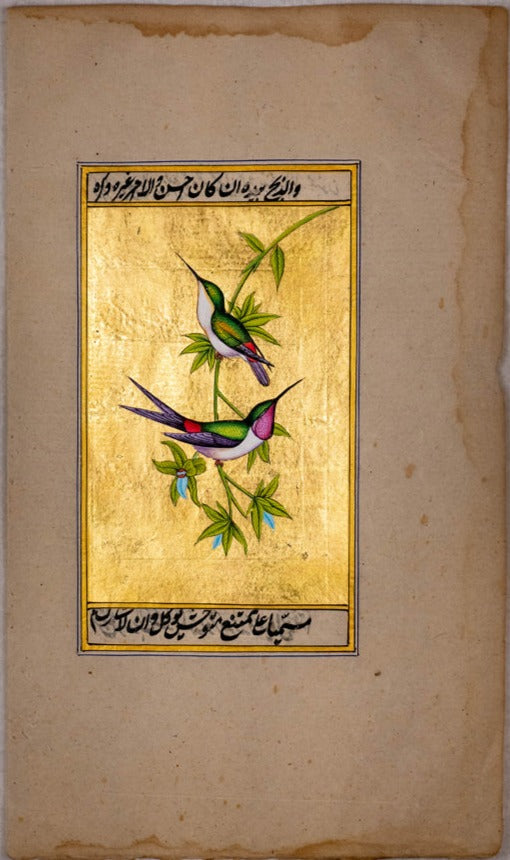 A Stillness Unveiled: The Enchanted Perch of Hummingbirds by Mohan Prajapati Thumbnail