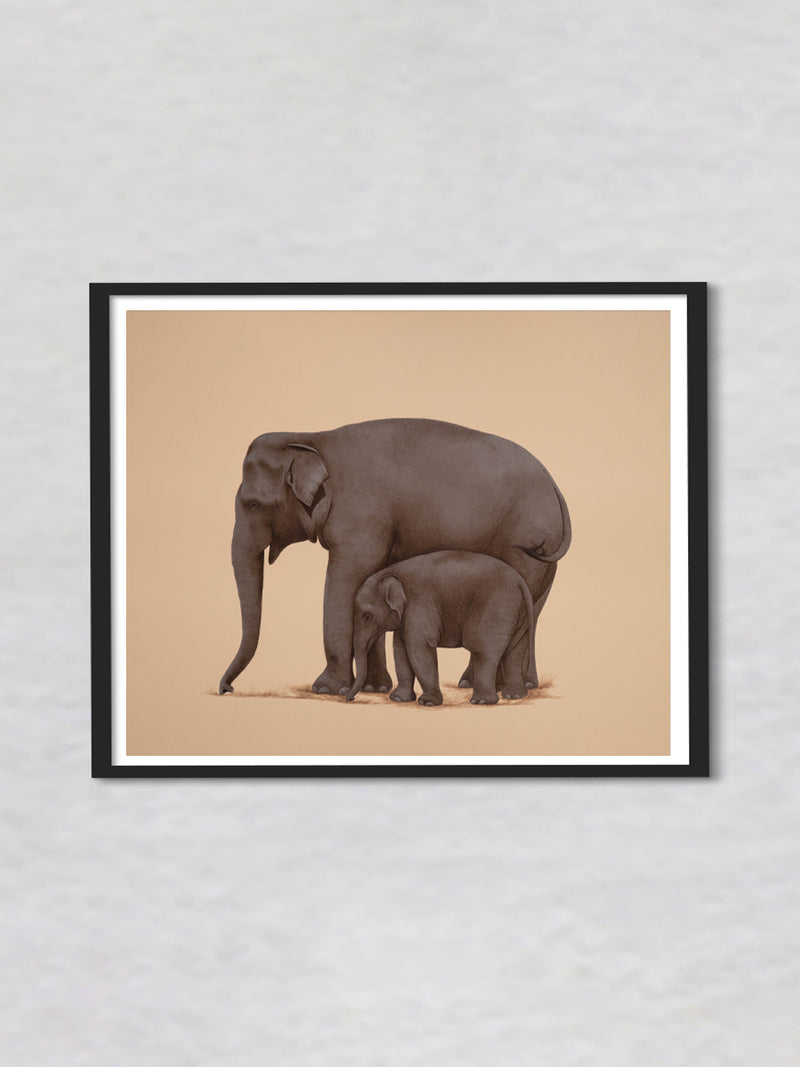 A Mother's Guiding Trunk A Mughal Miniature of Elephant Love by Mohan Prajapati