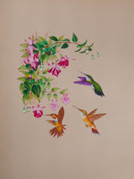 Buy A Mughal Miniature of Hummingbirds and Floral Beauty by Mohan Prajapati