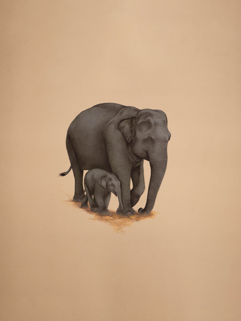 Buy A Serene Connection The Bond of Elephants, A Mughal Miniature by Mohan Prajapati