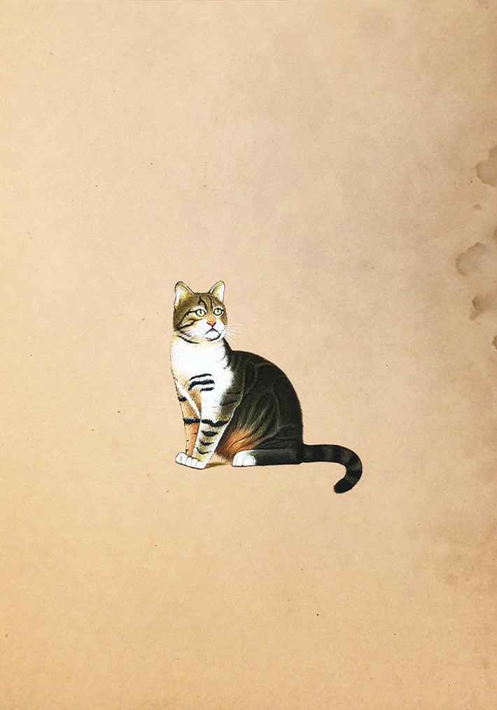 The Adorable Cats in Miniature Painting by Mohan Prajapati Thumbnail