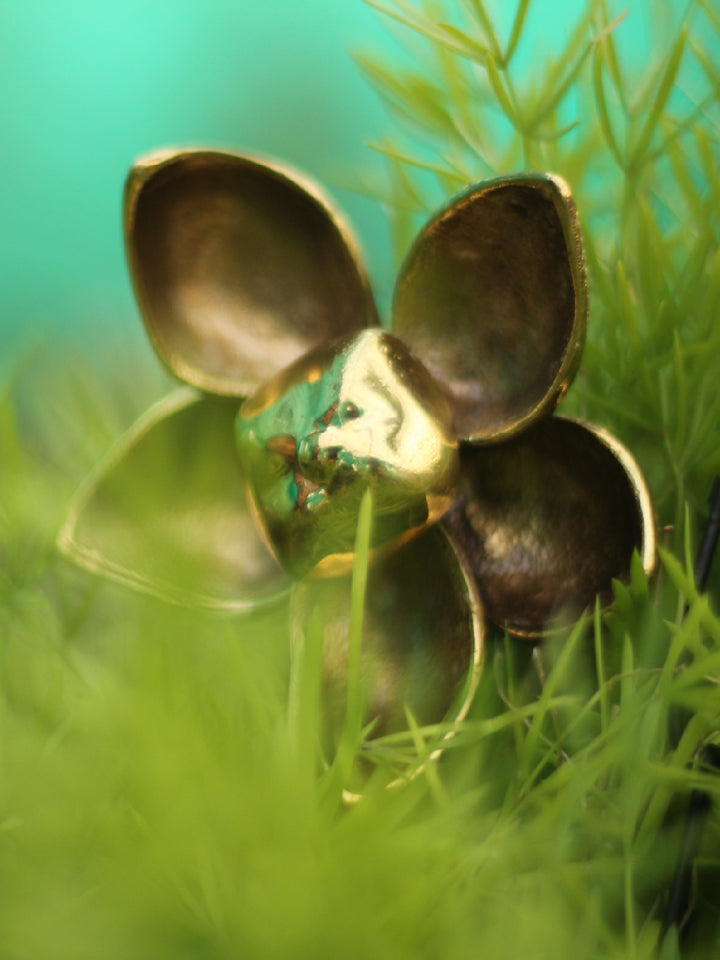 Blooming flower in Brass work by Chanchal Chakraborty Thumbnail