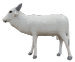 buy Cow In Nirmal Toys by Sai Kiran