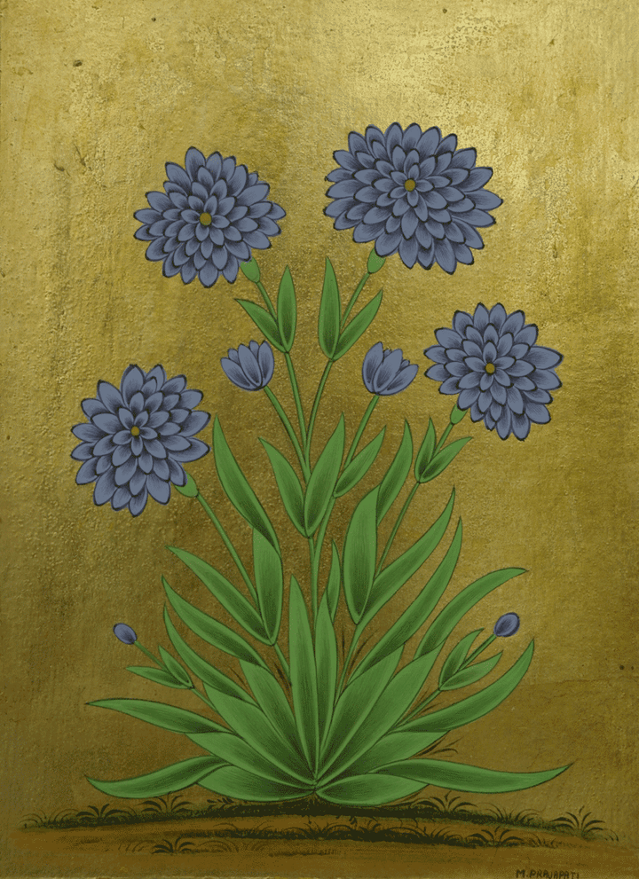 Chrysanthemums in Mughal Miniature by Mohan Prajapati Thumbnail