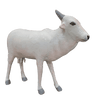 Cow in Nirmal toys by Sai Kiran