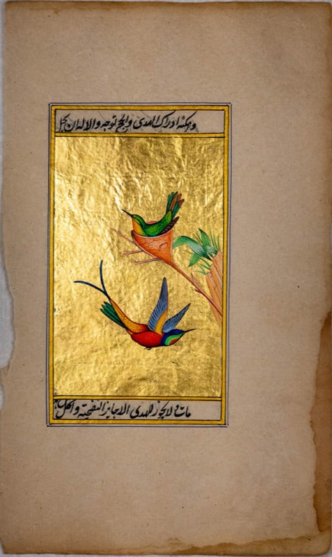 Duet of Colors: The Nest and Flight of Vibrant Hummingbirds by Mohan Prajapati Thumbnail