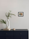 Purchase A Mughal Miniature Postcard Celebrating Nature by Mohan Prajapati