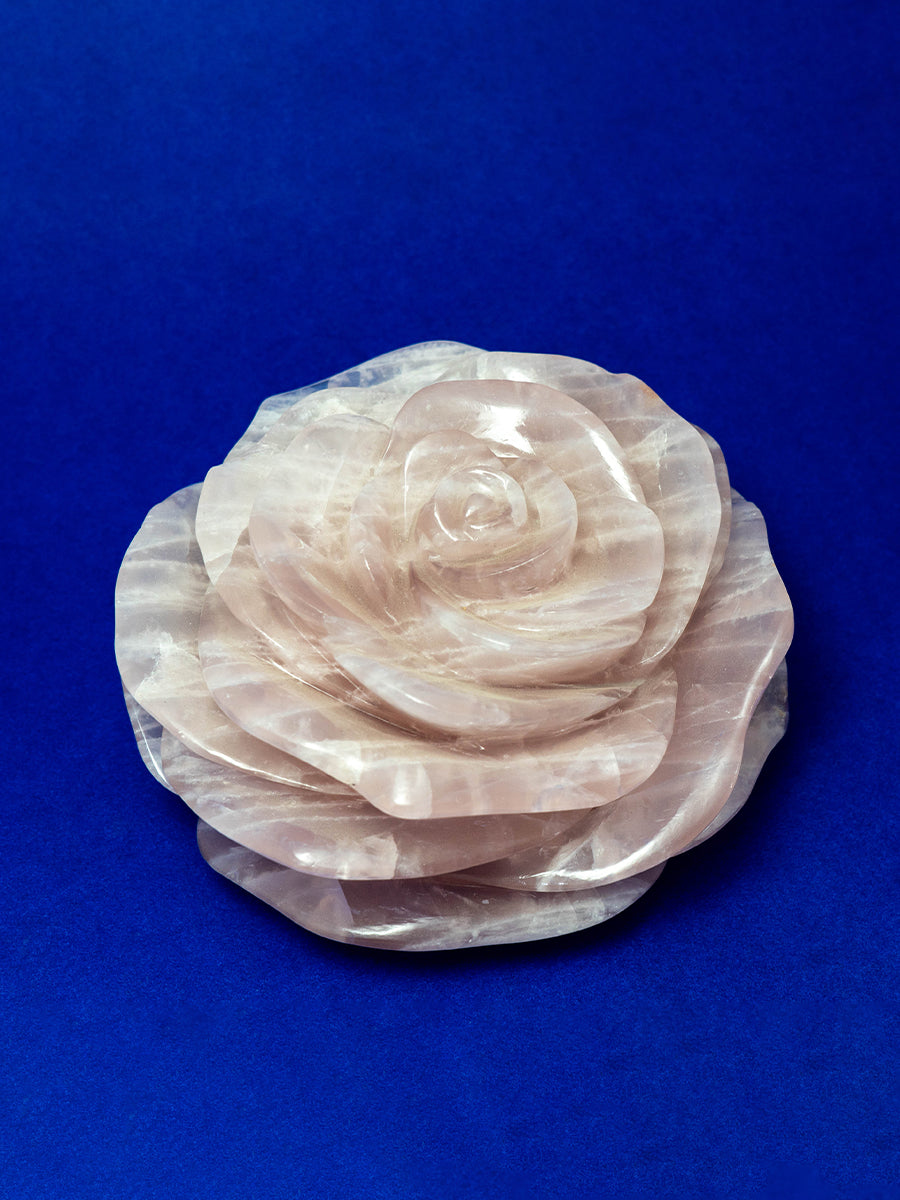 Eternal Blossoms: The Rose Quartz Symphony of Roses 