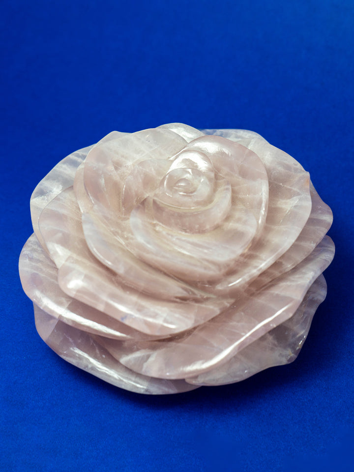 Eternal Blossoms: The Rose Quartz Symphony of Roses by Prithvi Kumawat Thumbnail