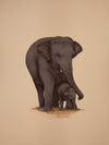 Eternal Devotion: A Mother's Gentle Caress by Mohan Prajapati