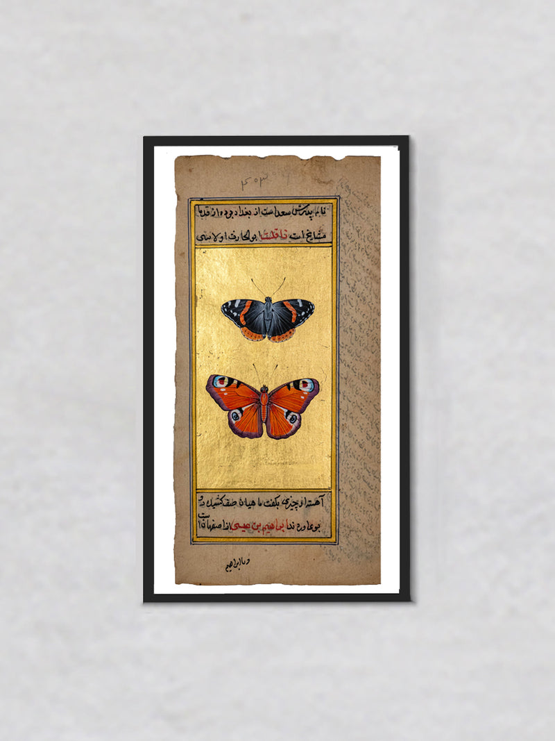Ethereal Wings A Mughal Miniature Reflection on the Red Admiral and Peacock Butterflies by Mohan Prajapati