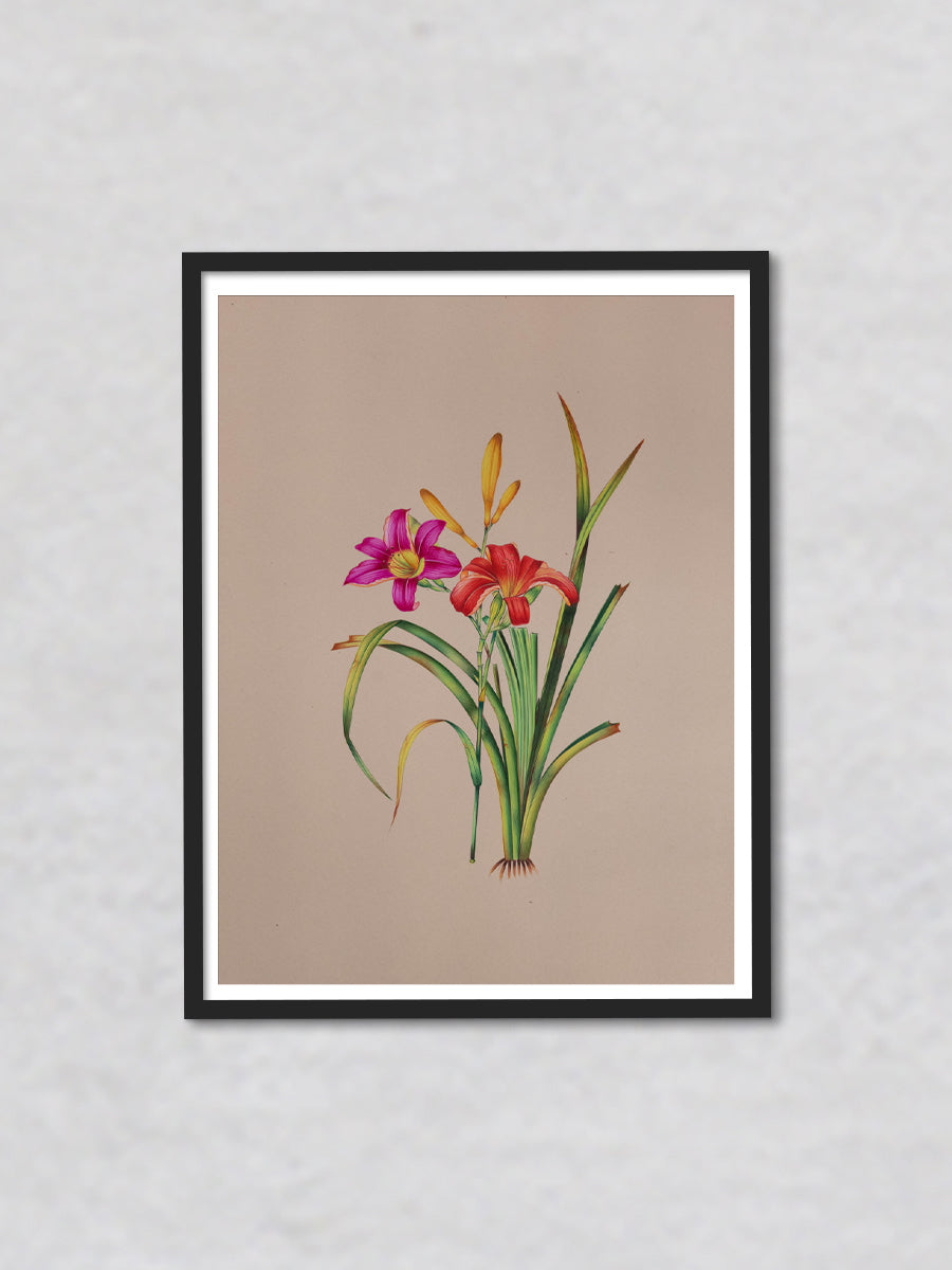 Garden's Treasured Jewel A Mughal Miniature Reflection of the Daylily by Mohan Prajapati