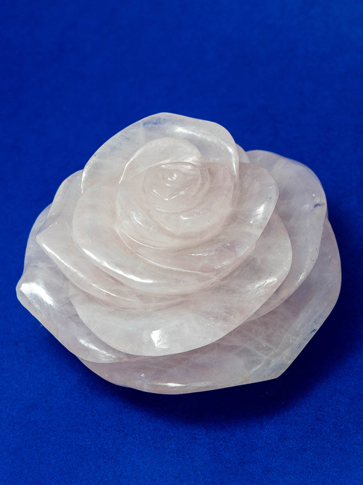 Harmony in Bloom: Rose Quartz Trifecta of Graceful Roses by Prithvi Kumawat Thumbnail