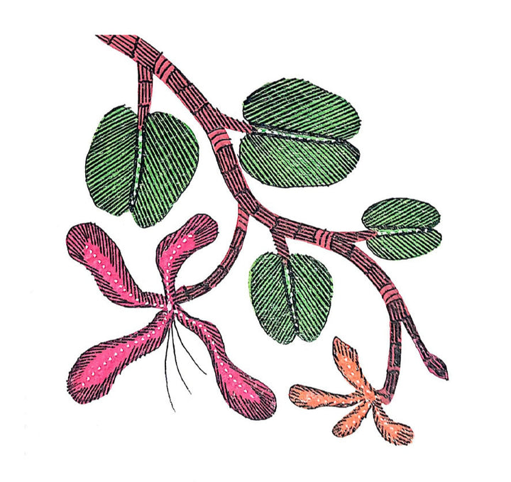 Harmony in Bloom: The Majestic Branch's Offering Gond Painting by Kailash Pradhan Thumbnail