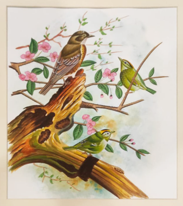 Three Birds on a tree: Mughal Miniature by Dinesh Soni Thumbnail