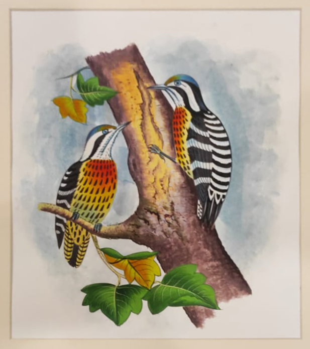 Woodpeckers on a tree: Mughal Miniature by Dinesh Soni Thumbnail
