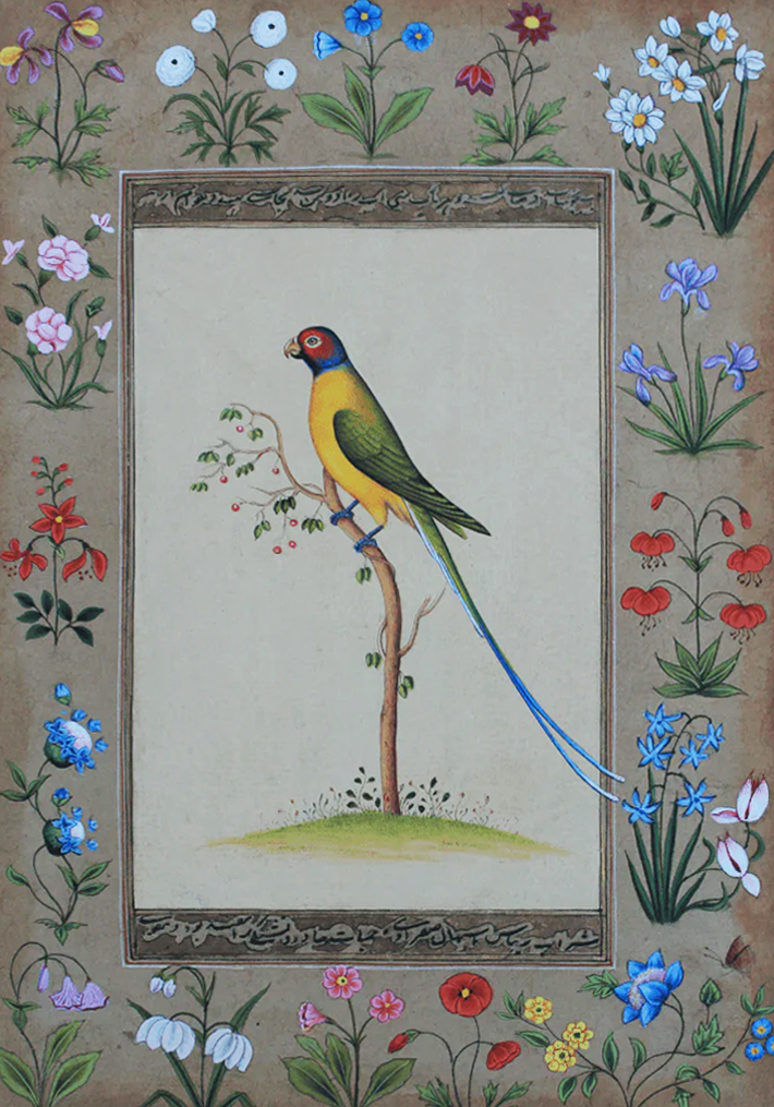 A Colorful Parrot in Miniature Painting by Mohan Prajapati Thumbnail